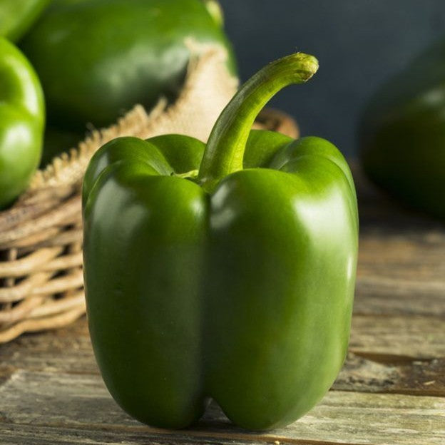 Capsicum
