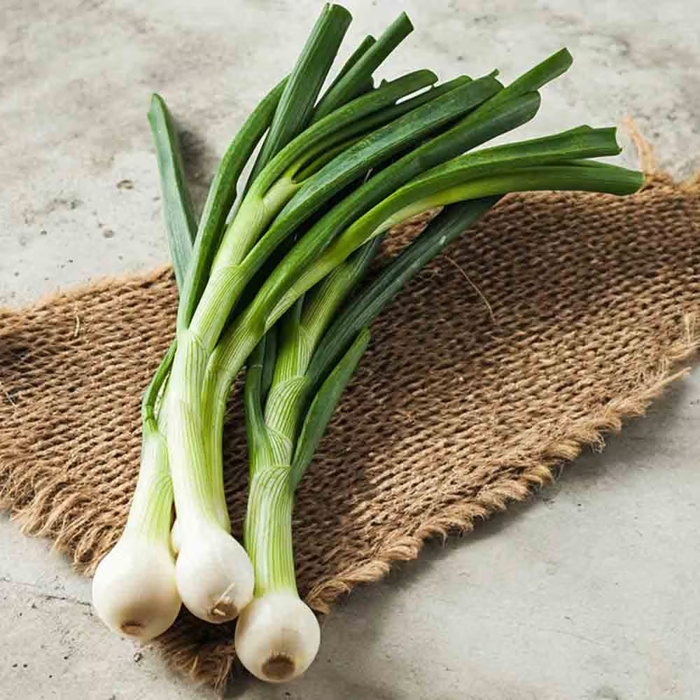 Spring Onion