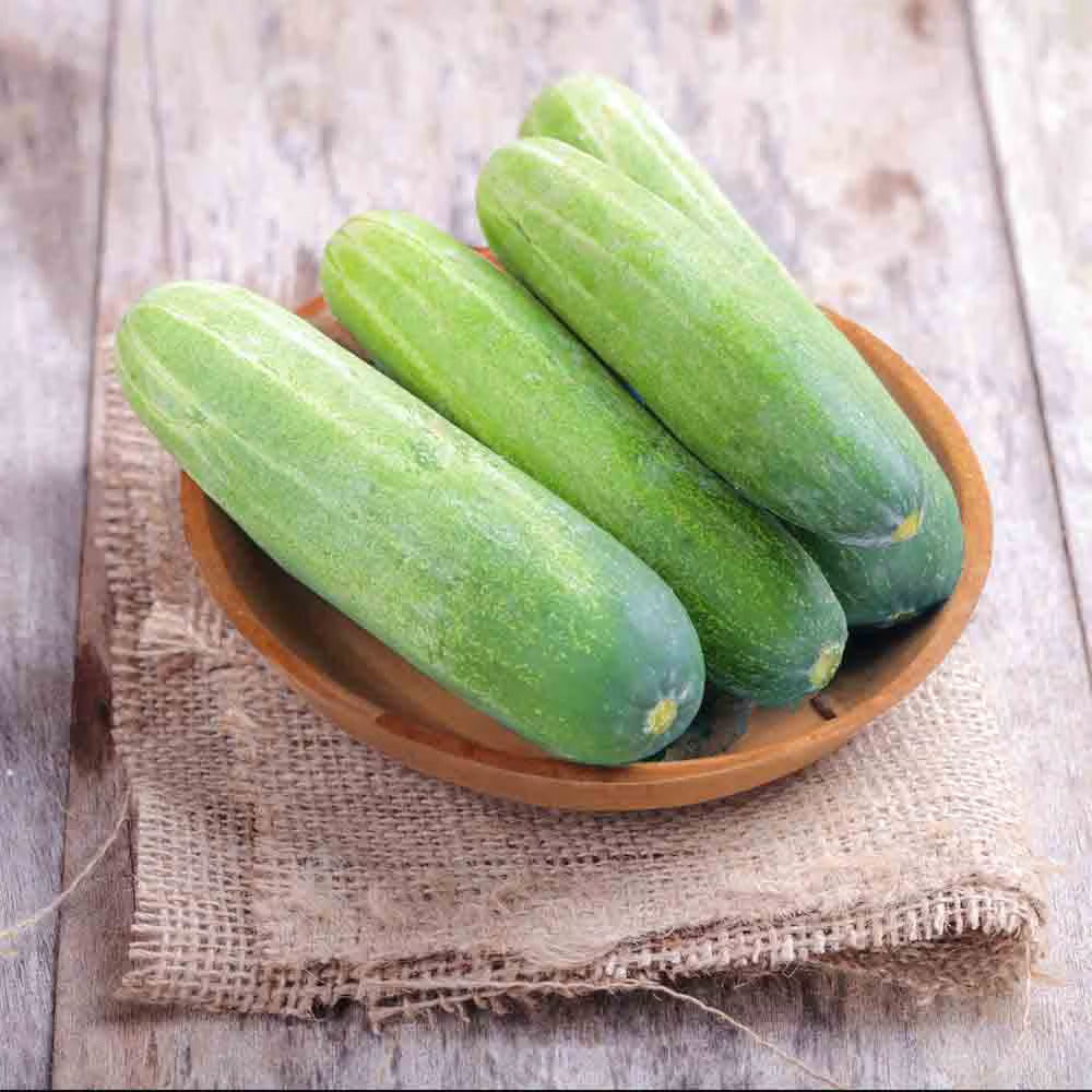 Cucumber